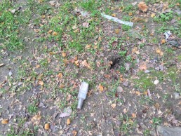 Yitzhak Rabin Platz in Köln