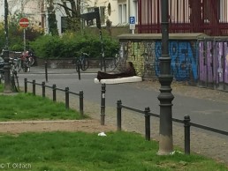 Yitzhak Rabin Platz in Köln