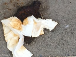 menschliche Fäkalien in Köln