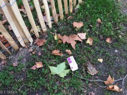 Yitzhak Rabin Platz in Köln