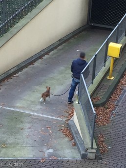 Yitzhak Rabin Platz in Köln