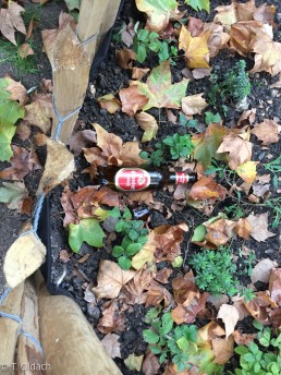 Yitzhak Rabin Platz in Köln