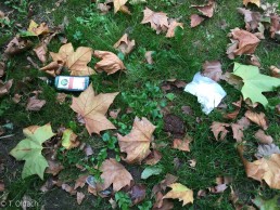 menschliche Fäkalien Köln