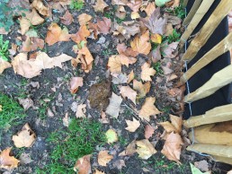 Yitzhak Rabin Platz in Köln