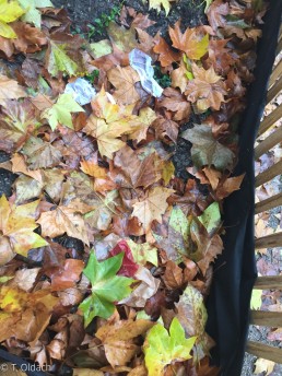 Yitzhak Rabin Platz in Köln