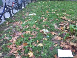 Yitzhak Rabin Platz in Köln