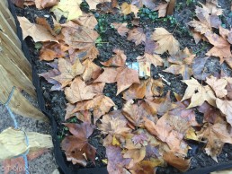 Yitzhak Rabin Platz in Köln