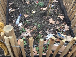 Yitzhak Rabin Platz in Köln