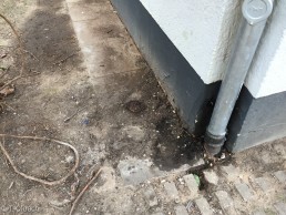 Yitzhak Rabin Platz in Köln