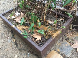 Yitzhak Rabin Platz in Köln