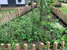 Yitzhak Rabin Platz in Köln