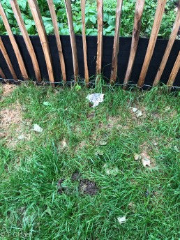 Yitzhak Rabin Platz in Köln