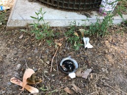 Heroin. Yitzhak Rabin Platz in Köln