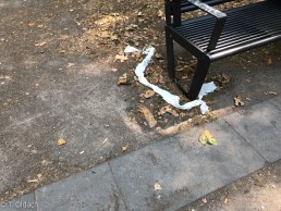 Yitzhak Rabin Platz in Köln