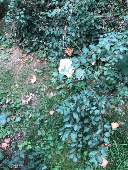 Yitzhak Rabin Platz in Köln