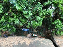 Yitzhak Rabin Platz in Köln