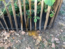 Yitzhak Rabin Platz in Köln