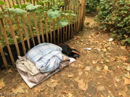 Yitzhak Rabin Platz in Köln