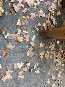 Yitzhak Rabin Platz in Köln