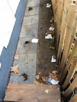 Yitzhak Rabin Platz in Köln