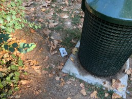 Yitzhak Rabin Platz in Köln