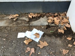 Yitzhak Rabin Platz in Köln