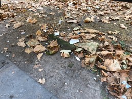 Yitzhak Rabin Platz in Köln