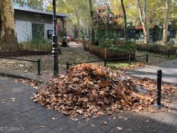 Yitzhak Rabin Platz in Köln
