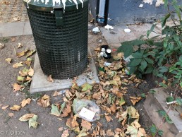 Yitzhak Rabin Platz in Köln