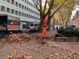 Yitzhak Rabin Platz in Köln
