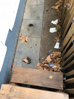 Yitzhak Rabin Platz in Köln