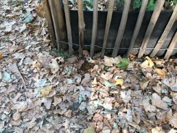 Yitzhak Rabin Platz in Köln