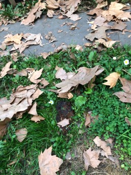 Yitzhak Rabin Platz in Köln