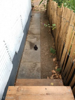 Yitzhak Rabin Platz in Köln