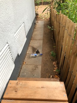 Yitzhak Rabin Platz in Köln