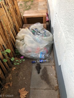 Yitzhak Rabin Platz in Köln