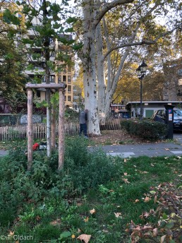 Yitzhak Rabin Platz in Köln