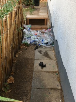 Yitzhak Rabin Platz in Köln