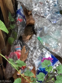 Yitzhak Rabin Platz in Köln