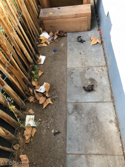 Yitzhak Rabin Platz in Köln