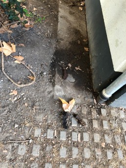 Yitzhak Rabin Platz in Köln