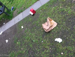 Yitzhak Rabin Platz in Köln