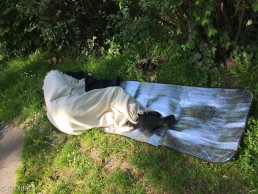 Yitzhak Rabin Platz in Köln