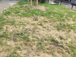 Yitzhak Rabin Platz in Köln