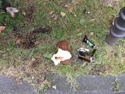 menschliche Fäkalien Köln