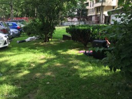 Yitzhak Rabin Platz Junkies