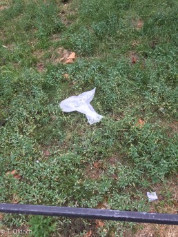 Yitzhak Rabin Platz in Köln