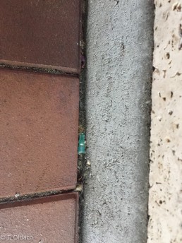 Yitzhak Rabin Platz in Köln