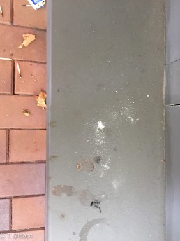 Yitzhak Rabin Platz in Köln