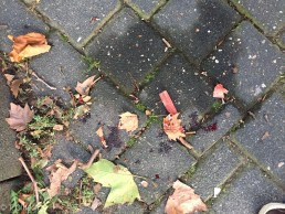 Yitzhak Rabin Platz in Köln